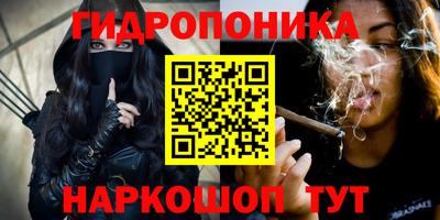 индика Новодвинск