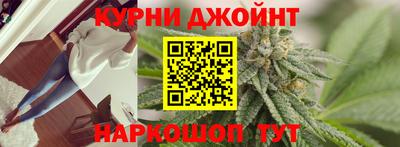 индика Новодвинск