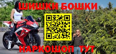 индика Новодвинск