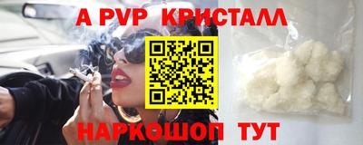 индика Новодвинск