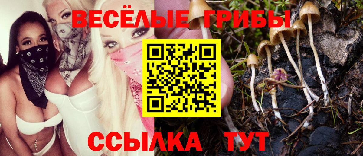 Галлюциногенные грибы Psilocybe  закладка  Вход с VPN  Топки  Псилоцибиновые грибы мухоморы 